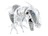 Roboraptor